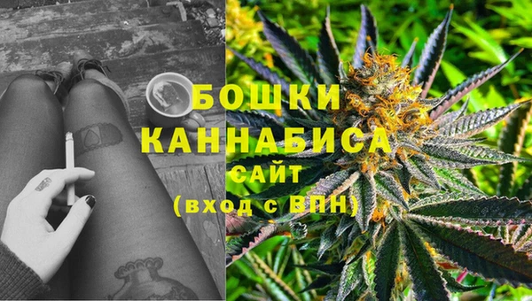 мдпв Коряжма
