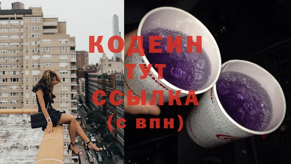 мдпв Коряжма