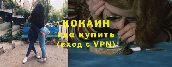 мдпв Коряжма