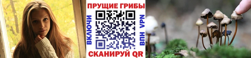 Купить закладки  Мензелинск  Галлюциногенные грибы мицелий 